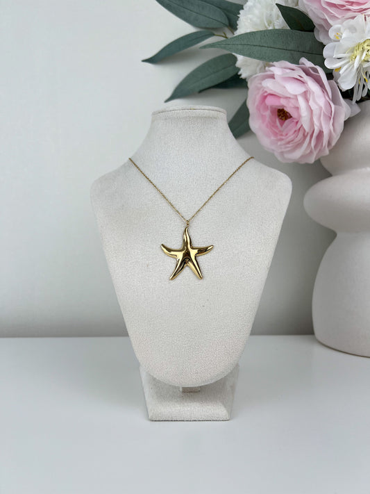Fijne ketting met grote zeester