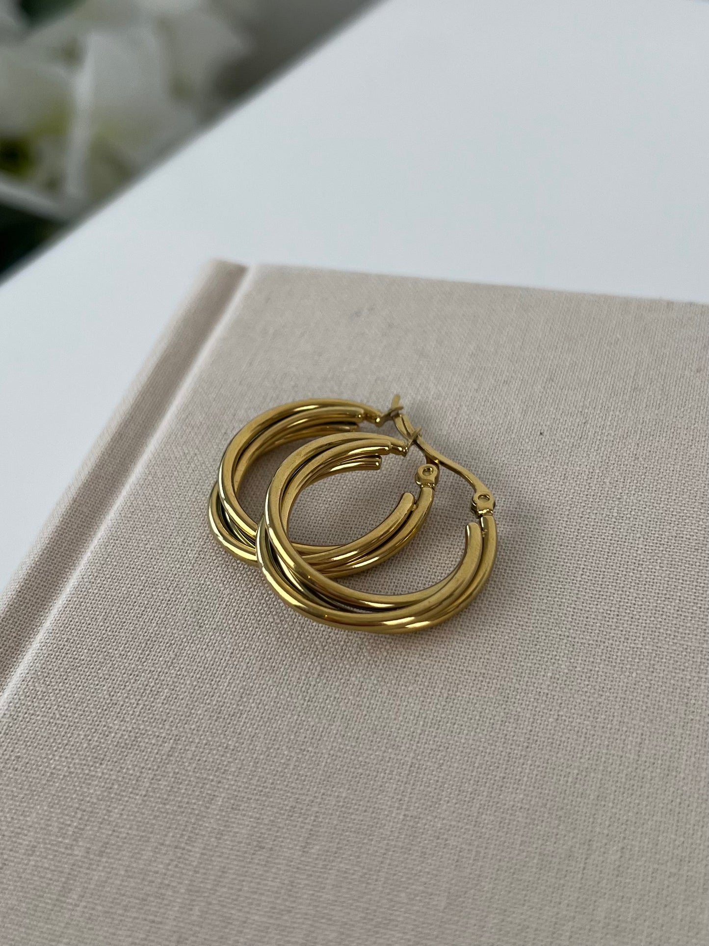 Oorbellen gedraaide hoops
