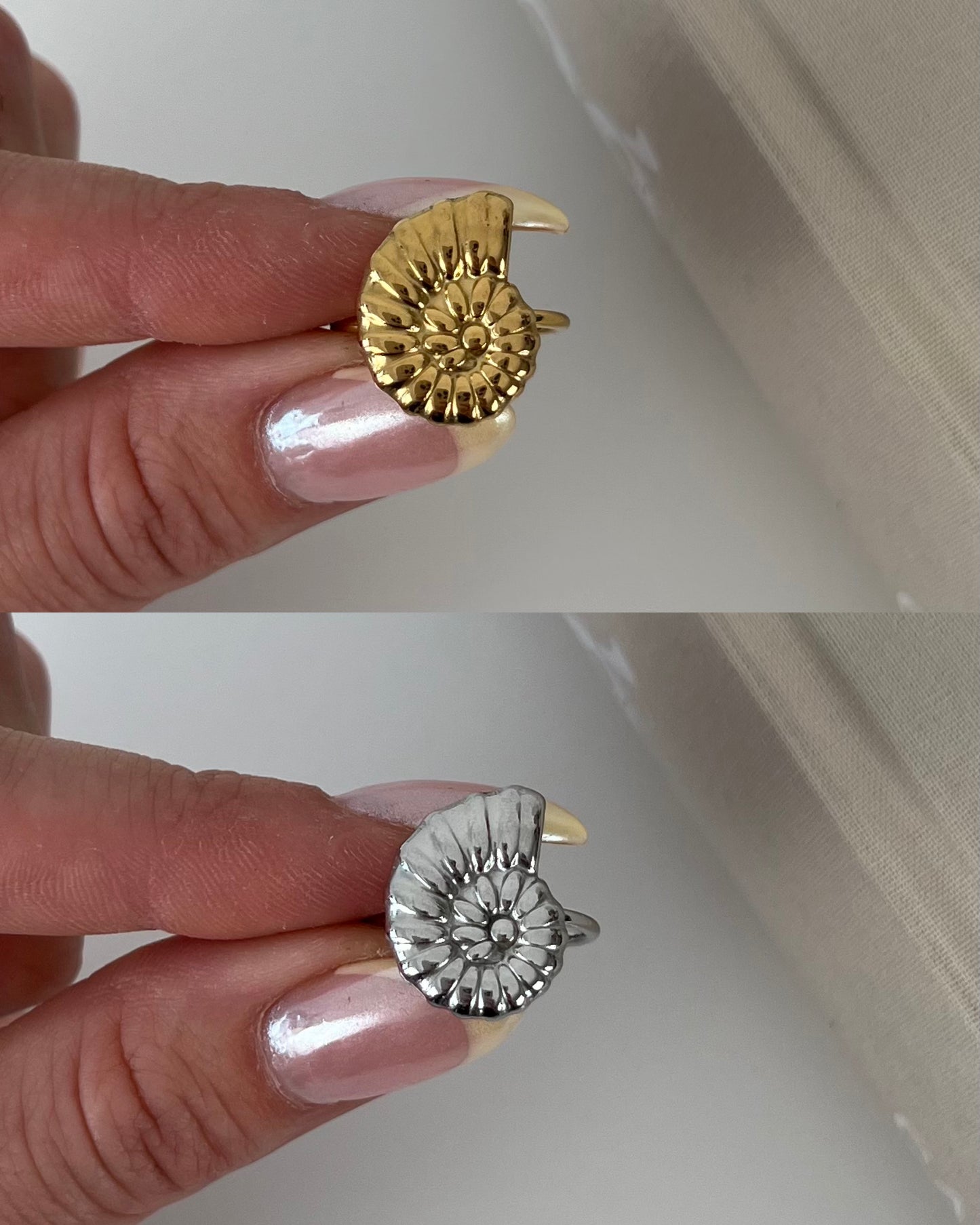 Ring zeeschelp