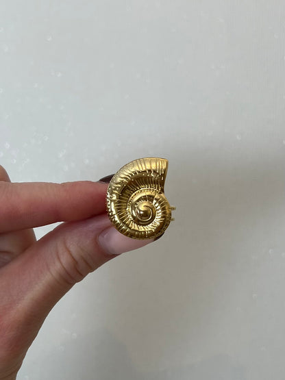 Ring big shell