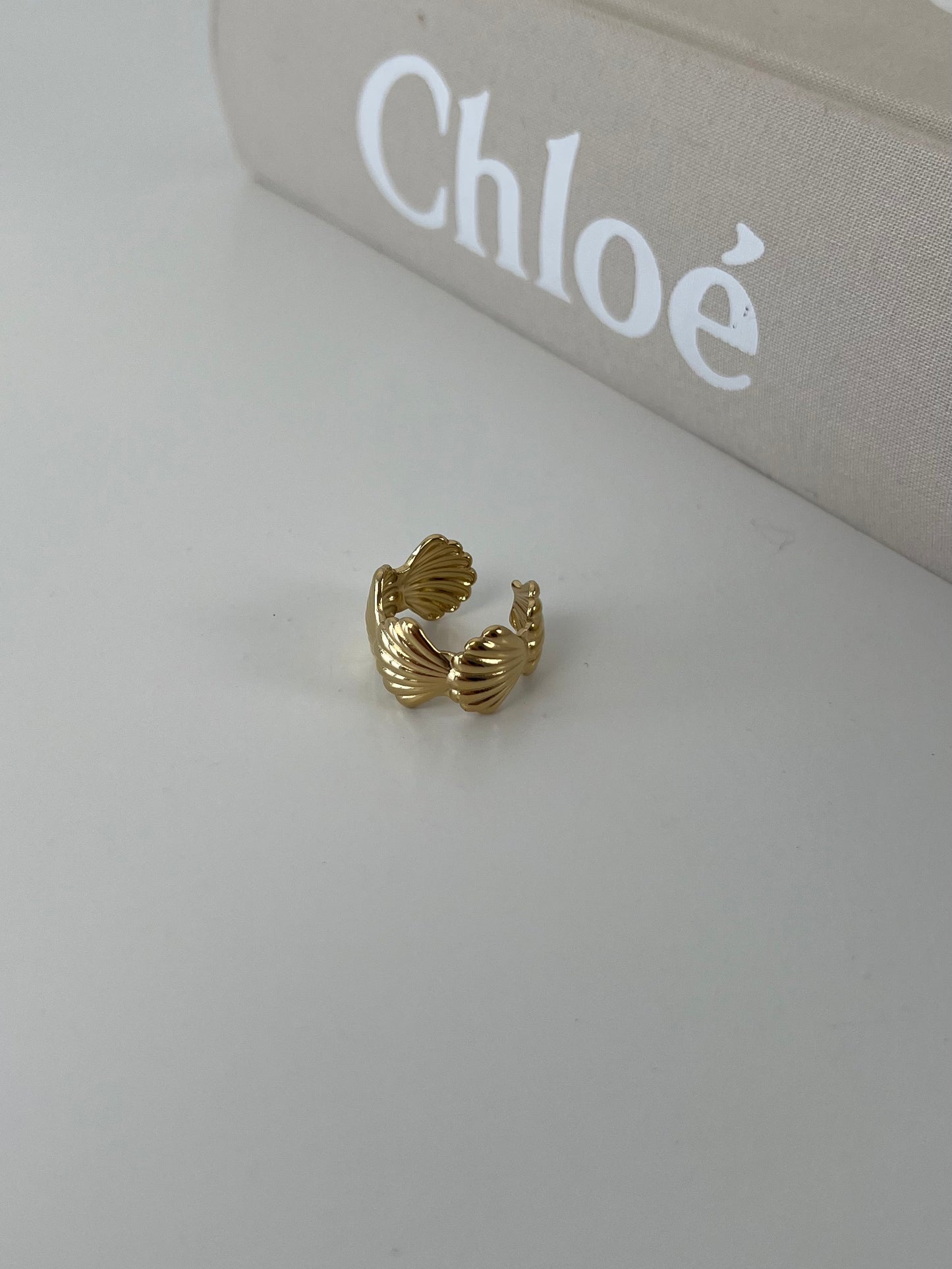 Ring schelpjes op zij