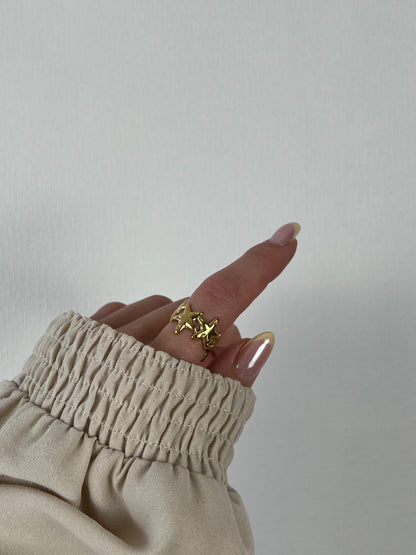 Ring zeesterren